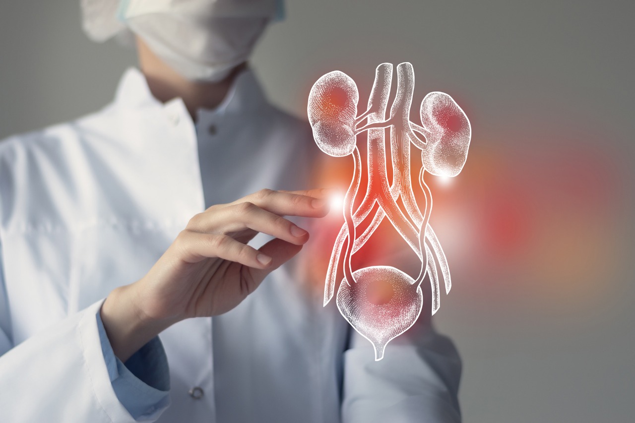 Kidney Transplantation in Faridabad